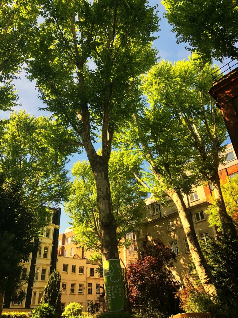 St James's Piccadilly Green Flag Garden