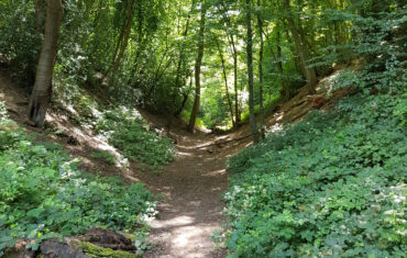 Devil's Dyke